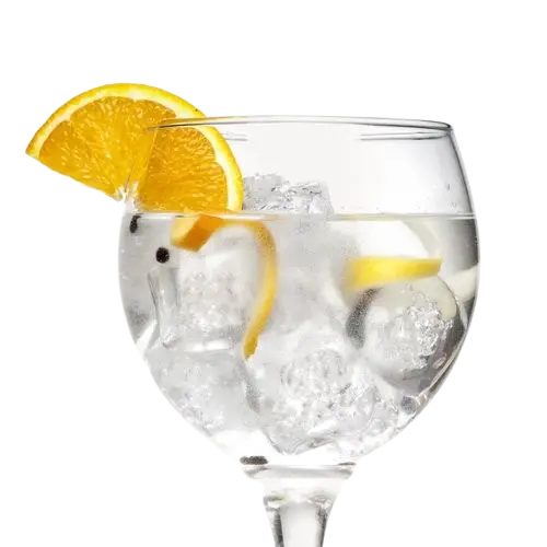 Gin tonic con hielo